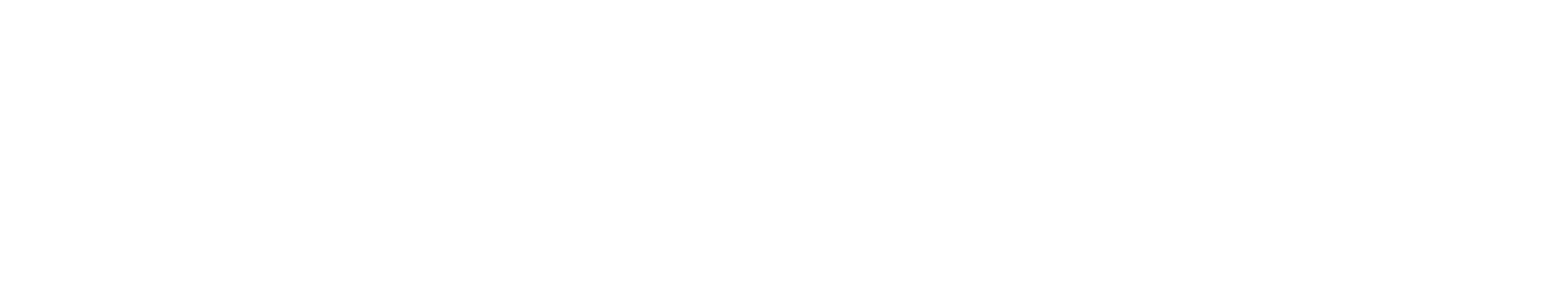 Студлидер